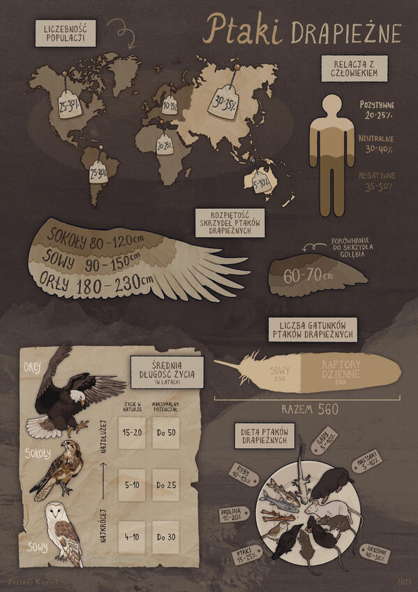 Infographic (Birds of Prey)