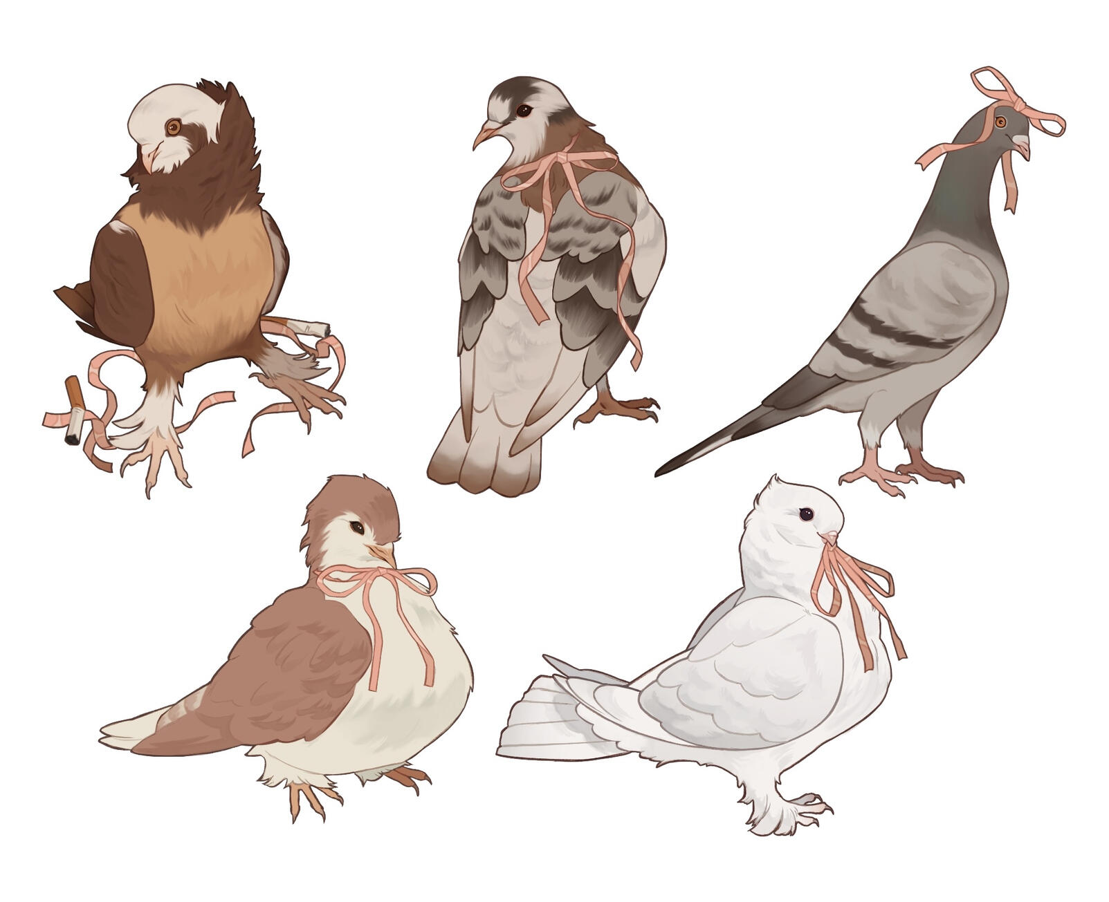"Coquette Pigeons" 1/2